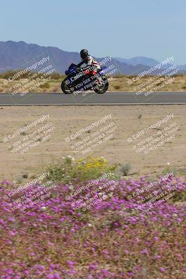 media/Mar-12-2023-SoCal Trackdays (Sun) [[d4c8249724]]/Turn 15 Inside Bloom (130pm)/